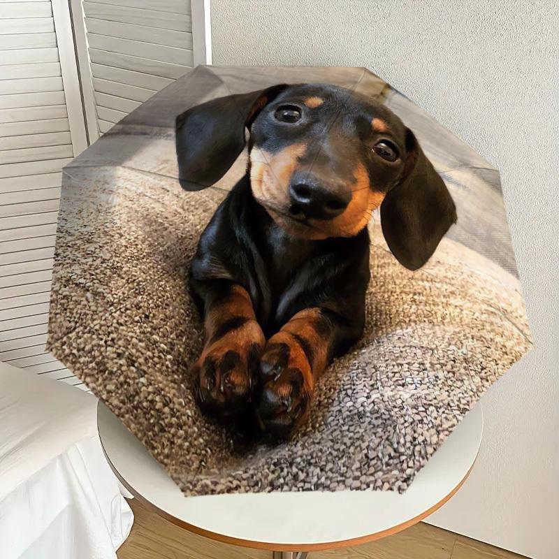 1pc Dachshund Paws Umbrella with Plastic Handle,Suitable for All Seasons Home Travel Outdoor UmbrellaDD1755
1pc Dachshund Paws Umbrella with Plastic Handle,Suitable for All Seasons Home Travel Outdoor UmbrellaDD1755