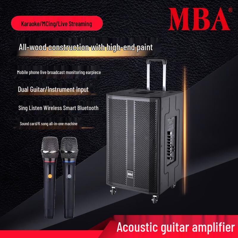 Portable 15-inch Trolley Karaoke Speaker
Portable 15-inch Trolley Karaoke Speaker