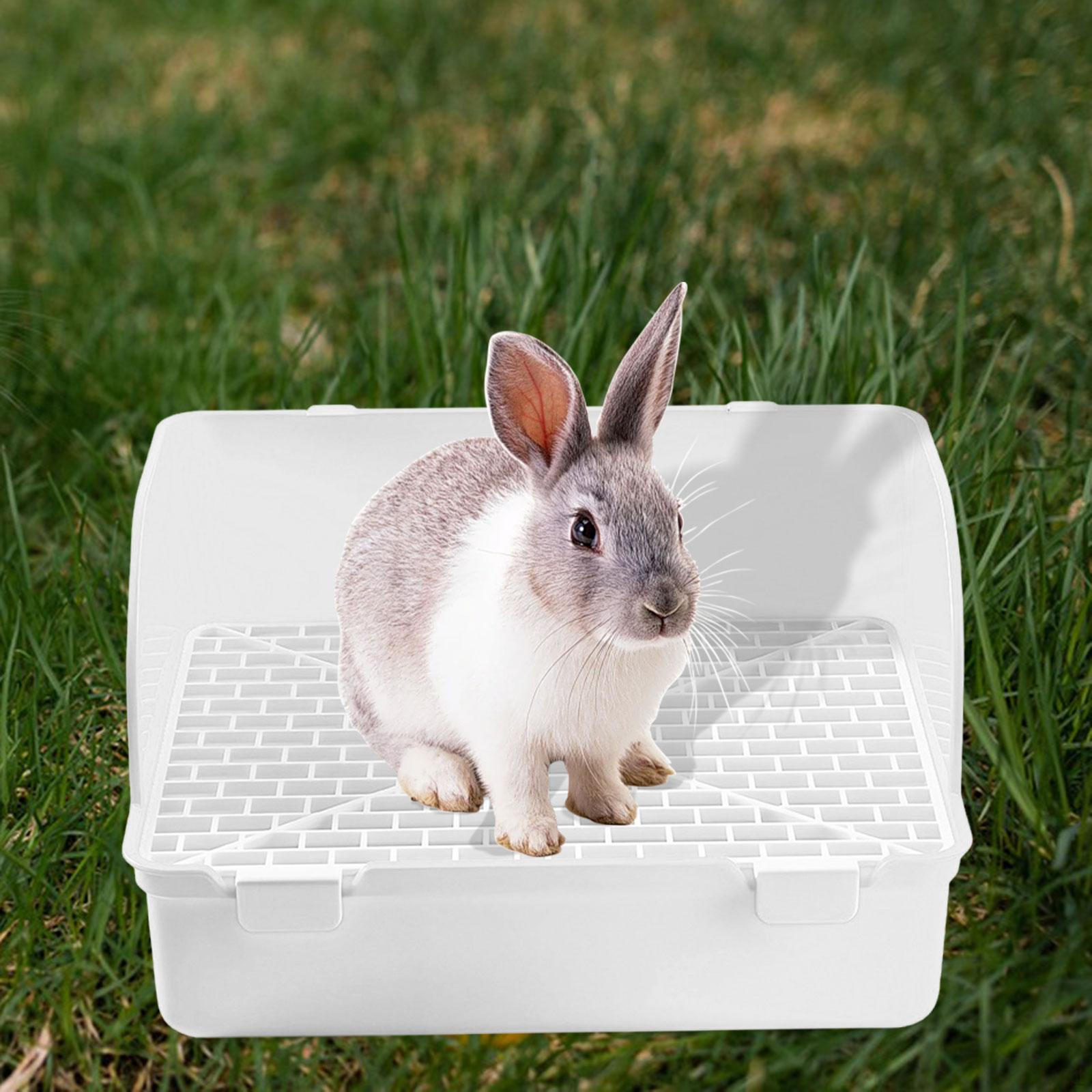 Bunny Litter Box Animal Tray Training Pan Potty Toilet for Gerbil Hamster Cage Small белый
Bunny Litter Box Animal Tray Training Pan Potty Toilet for Gerbil Hamster Cage Small белый