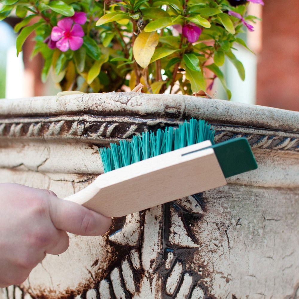 Wooden Handle Garden Tool Brush Portable Lawn Mower Cleaning Brush Outdoor Scraper Brush Gardening
Wooden Handle Garden Tool Brush Portable Lawn Mower Cleaning Brush Outdoor Scraper Brush Gardening