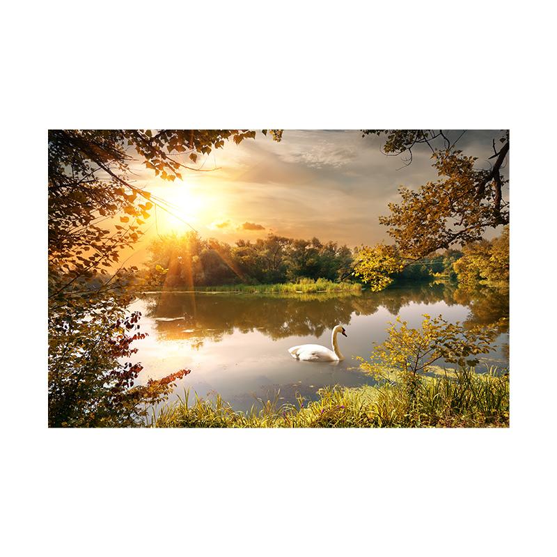 Beach Sunset Clouds Coco Nut Tree Canvas Painting Palm Tree Posters and Prints Sunrise Seascape Home Room Decor Unframed 40x50cm
Beach Sunset Clouds Coco Nut Tree Canvas Painting Palm Tree Posters and Prints Sunrise Seascape Home Room Decor Unframed 40x50cm