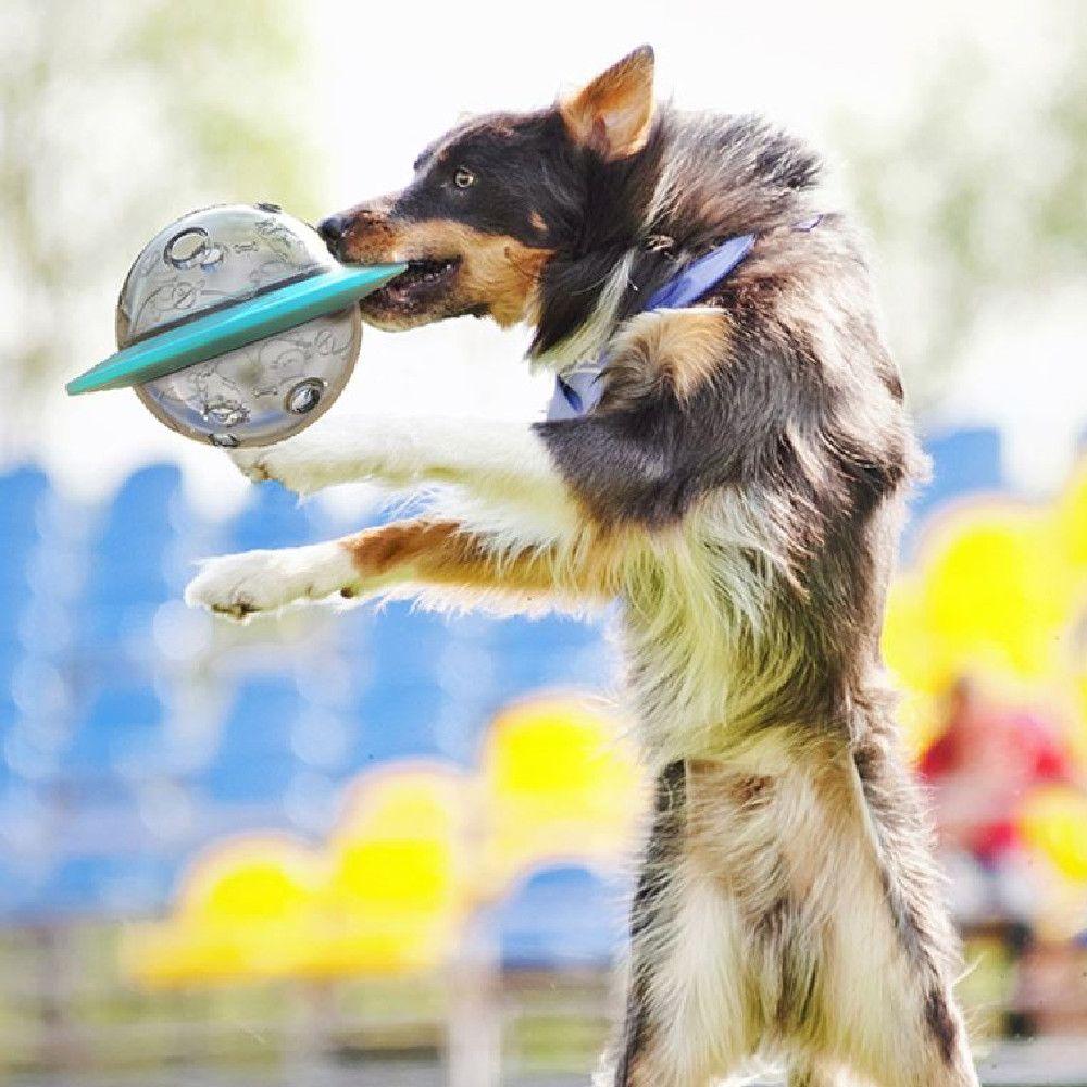 Интерактивные игрушки для собак Игрушки для дрессировки домашних животных Игрушки для собак Утечка игрушек для собак Игрушка для утечек корма для домашних животных Игрушки для жевания домашних животных
Интерактивные игрушки для собак Игрушки для дрессировки домашних животных Игрушки для собак Утечка игрушек для собак Игрушка для утечек корма для домашних животных Игрушки для жевания домашних животных