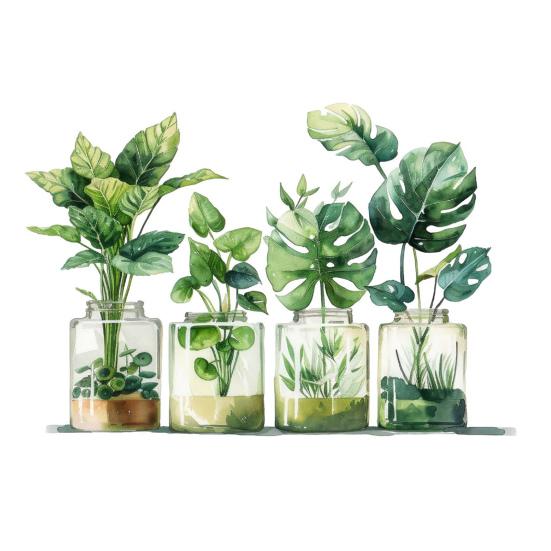 Зеленые растения Наклейка на окно ПВХ-пленка для стекла Многоразовые наклейки без остатков Гидропонный дизайн в горшке Весенний декор зелёный
Зеленые растения Наклейка на окно ПВХ-пленка для стекла Многоразовые наклейки без остатков Гидропонный дизайн в горшке Весенний декор зелёный