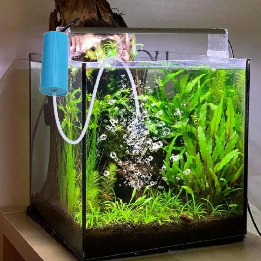 Пластиковый USB кислородный насос бесшумный кислородный воздушный насос воздушный компрессор для аквариума бесшумный аэратор для аквариума зелёный
Пластиковый USB кислородный насос бесшумный кислородный воздушный насос воздушный компрессор для аквариума бесшумный аэратор для аквариума зелёный