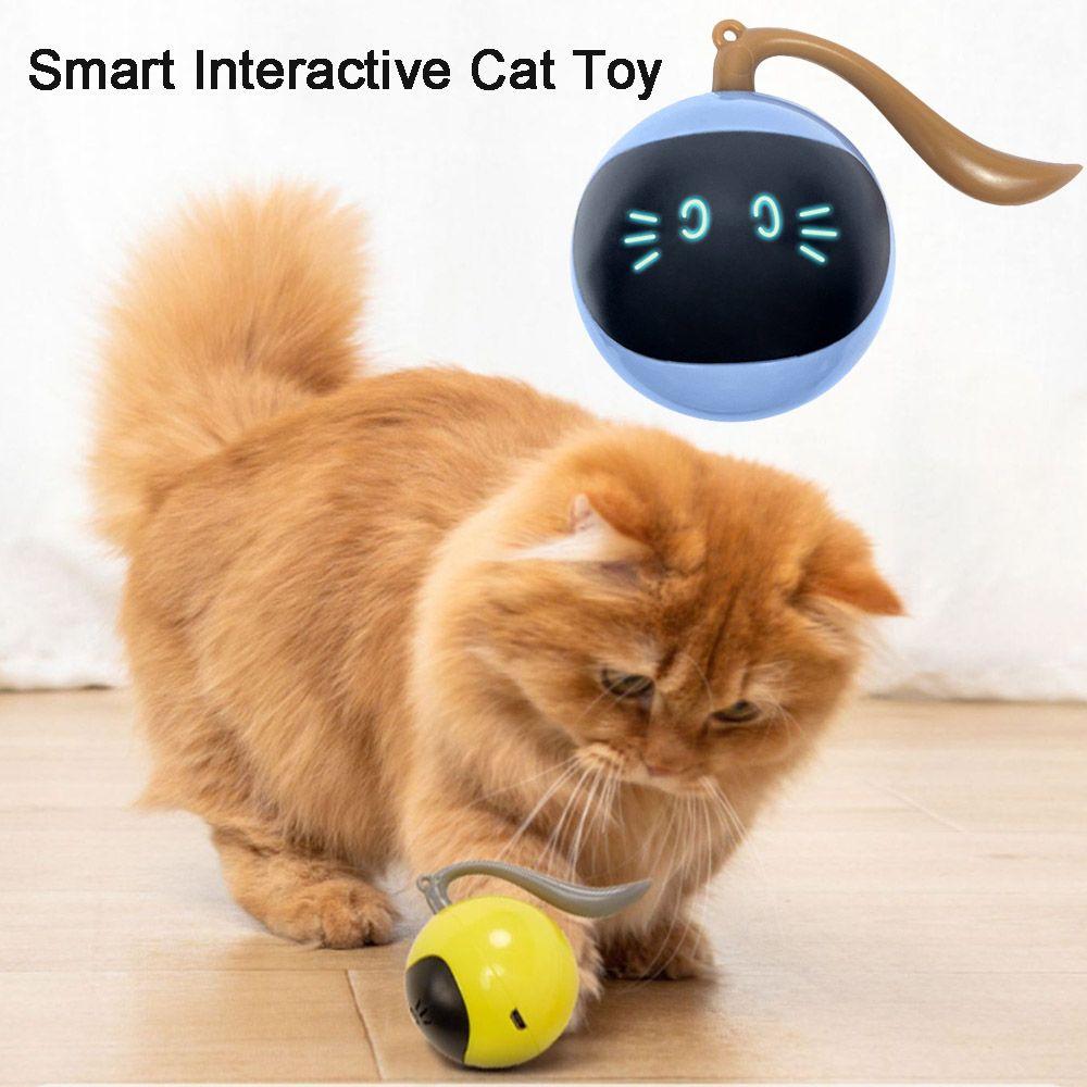 Аксессуары прочный котенок кошка USB аккумуляторная светодиодная самовращающаяся интерактивная игрушка для кошек мяч для домашних животных игрушки
Аксессуары прочный котенок кошка USB аккумуляторная светодиодная самовращающаяся интерактивная игрушка для кошек мяч для домашних животных игрушки