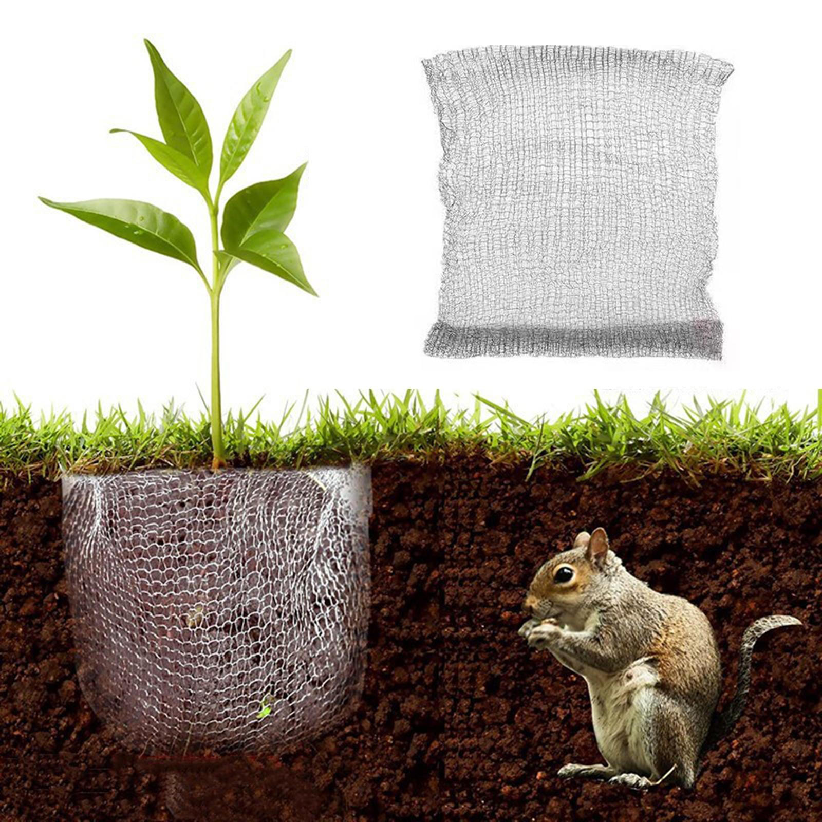 Корзины для защиты корней растений, Сетки для фруктовых деревьев, Клетки для животных, Овощи 21cmx25cm
Корзины для защиты корней растений, Сетки для фруктовых деревьев, Клетки для животных, Овощи 21cmx25cm