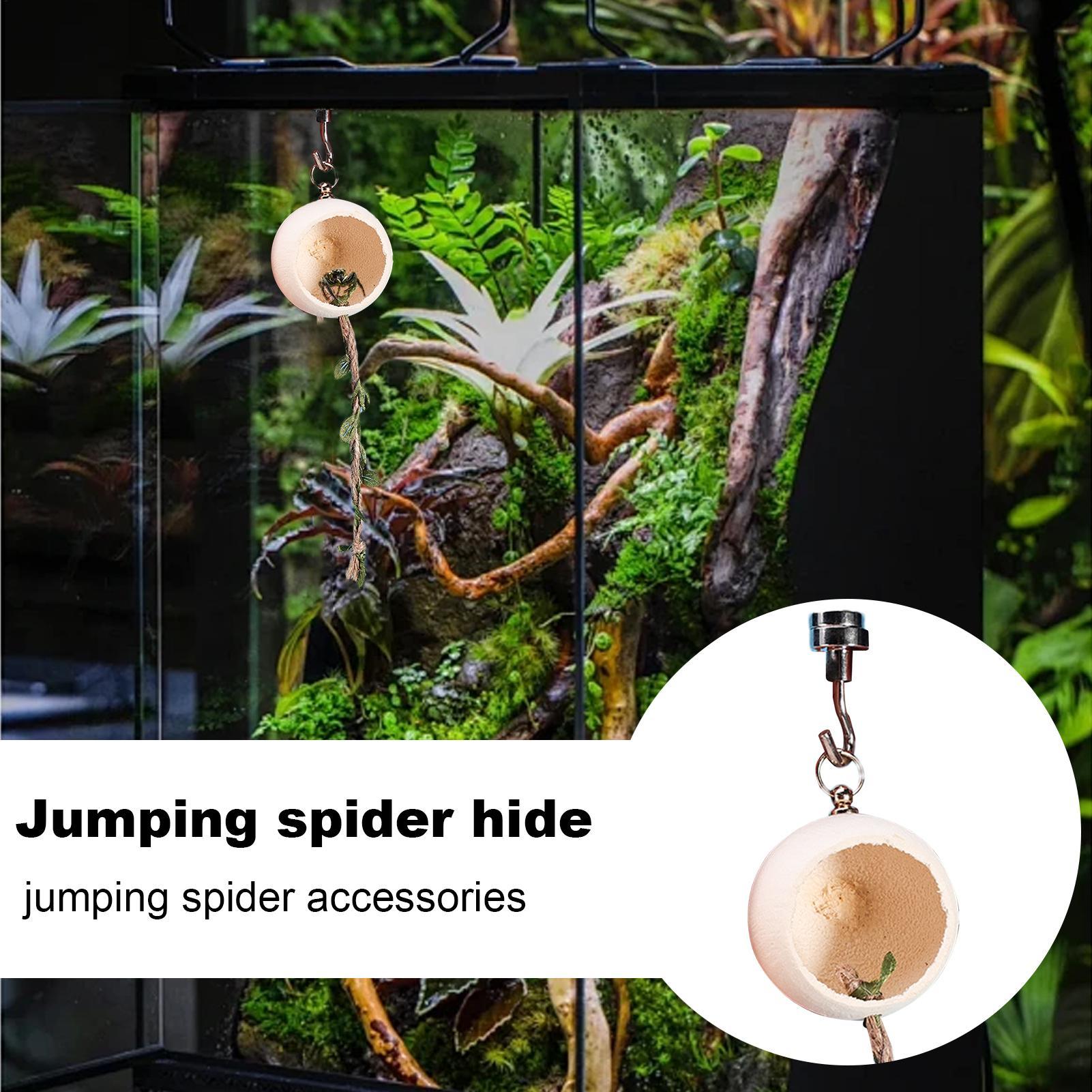 Jumping Spider Hiding Spot Feeder Box Attachment Jumping Spider Enclosure Accessories For Scorpion Small Animals Home Indoor China Mainland
Jumping Spider Hiding Spot Feeder Box Attachment Jumping Spider Enclosure Accessories For Scorpion Small Animals Home Indoor China Mainland