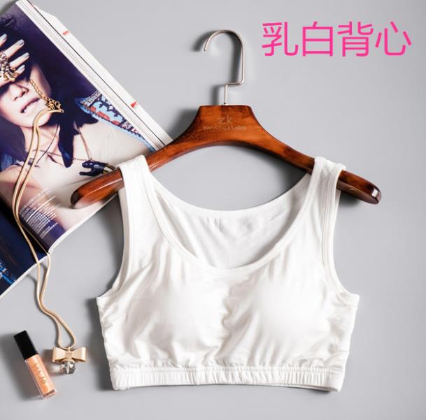 Нова модальна нижня білизна без сталевих кілець, інтегрована з нагрудною підкладкою, підтяжками, жилетом, бюстгальтером, спортивною нижньою білизною, топом, коротким жилетом, камзолом XL
Нова модальна нижня білизна без сталевих кілець, інтегрована з нагрудною підкладкою, підтяжками, жилетом, бюстгальтером, спортивною нижньою білизною, топом, коротким жилетом, камзолом XL