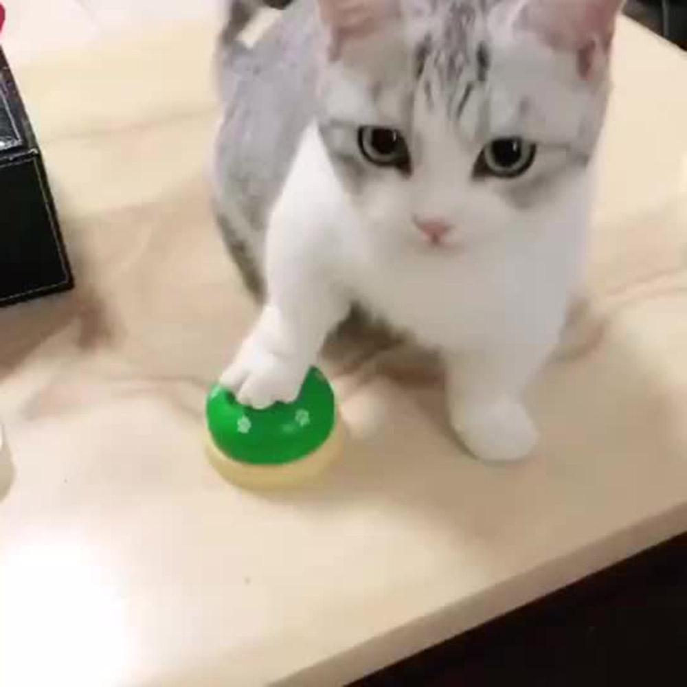 Pet Bell for Dog Cat Training Interactive Toy Called Dinner Small Bells Footprint Ring Trainer Feeding Reminder Blue
Pet Bell for Dog Cat Training Interactive Toy Called Dinner Small Bells Footprint Ring Trainer Feeding Reminder Blue
