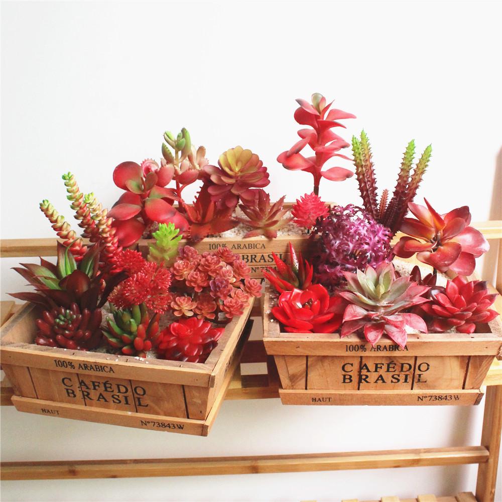 Autumn Faux Cactus Artificial DIY Aloe Decoration Garden Succulent Plants Home M
Autumn Faux Cactus Artificial DIY Aloe Decoration Garden Succulent Plants Home M