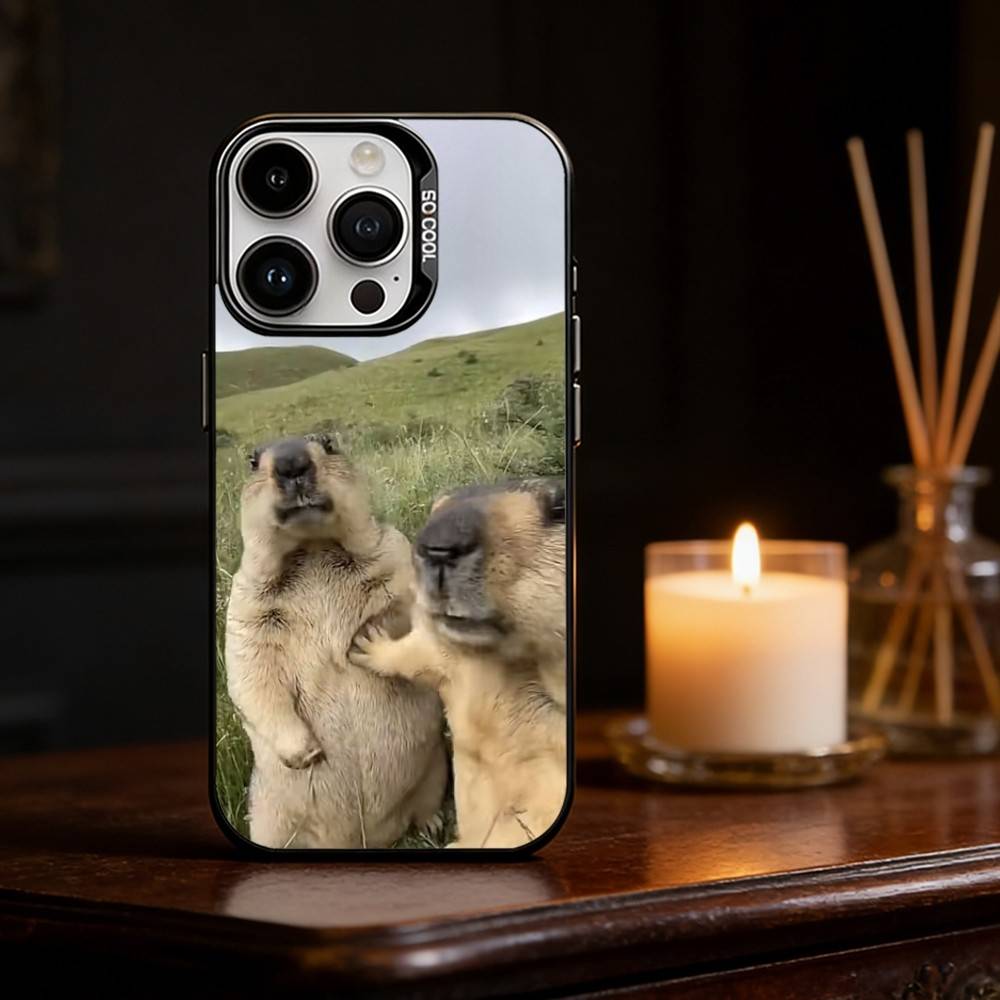Cute Capybara Groundhog Phone Case Color Silver Shell For IPhone 17 16 15 14 13 12 11 Pro Max Plus iPhone16pro
Cute Capybara Groundhog Phone Case Color Silver Shell For IPhone 17 16 15 14 13 12 11 Pro Max Plus iPhone16pro