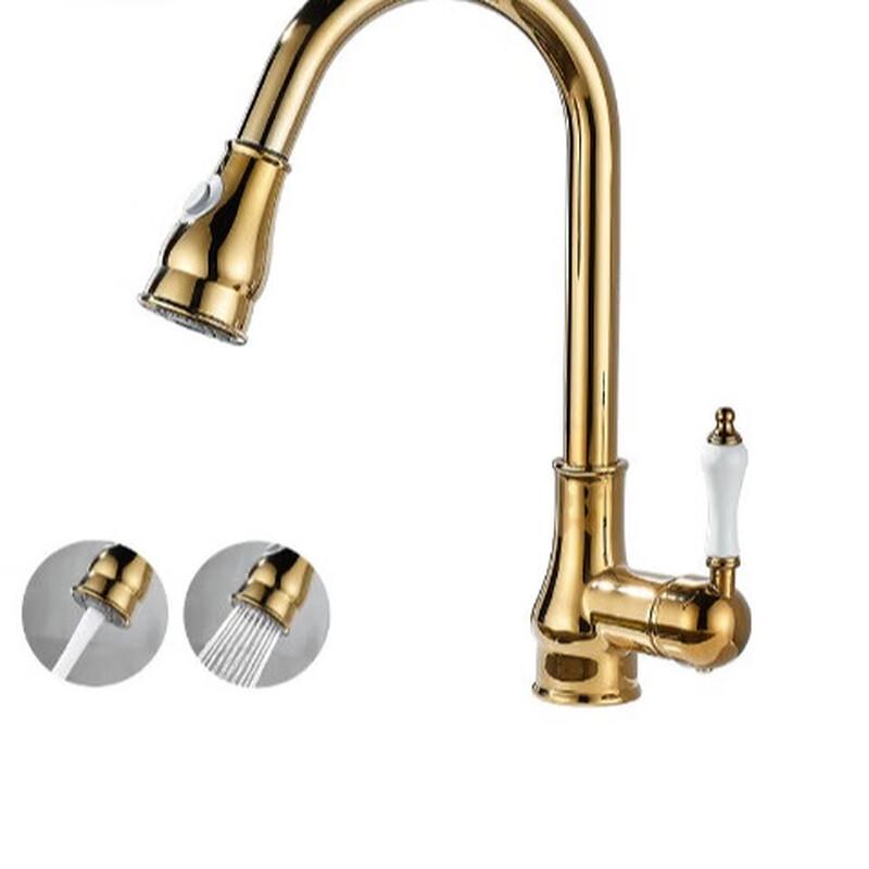Mussel Series Brass Pull-Out Kitchen Faucet
Mussel Series Brass Pull-Out Kitchen Faucet