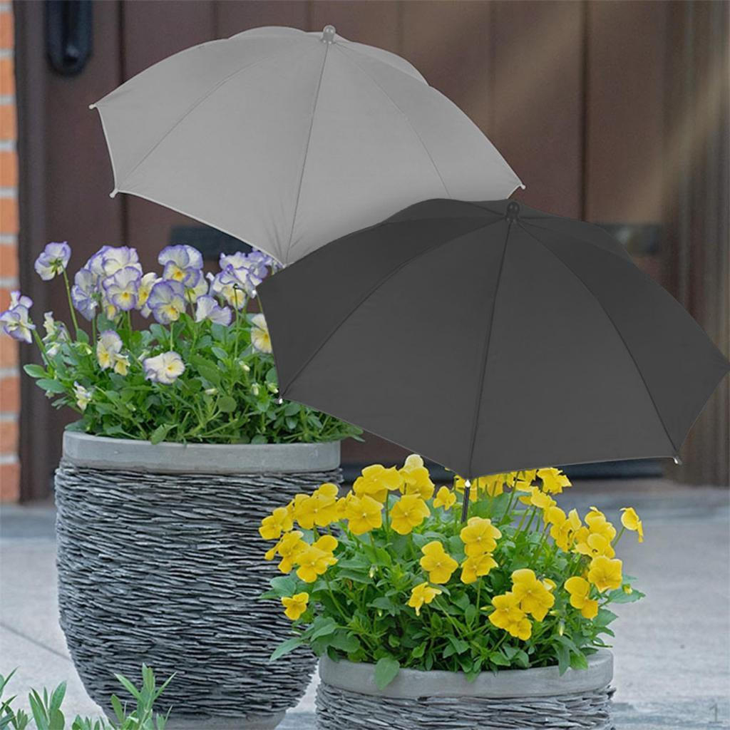 Canopy for Flower Beds And Outdoor Bonsai
Canopy for Flower Beds And Outdoor Bonsai