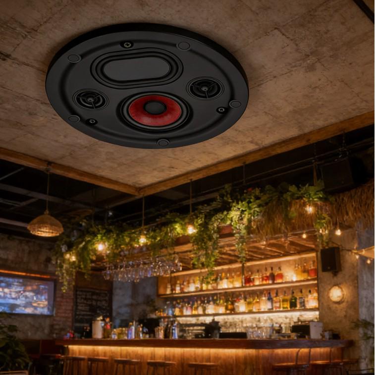 Tianlai TL-L7 Ceiling Speaker with Back Cover for Indoor PA Systems
Tianlai TL-L7 Ceiling Speaker with Back Cover for Indoor PA Systems