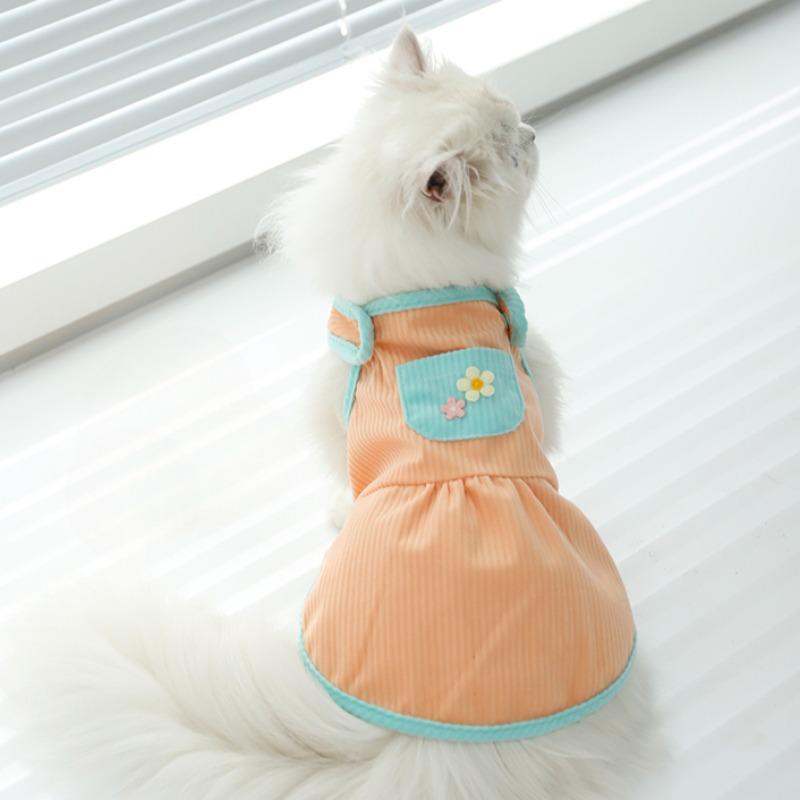 Одежда для кошек Летняя юбка для кошек Щенок Тедди Горький медведь Собака Тонкий жилет S оранжевый
Одежда для кошек Летняя юбка для кошек Щенок Тедди Горький медведь Собака Тонкий жилет S оранжевый