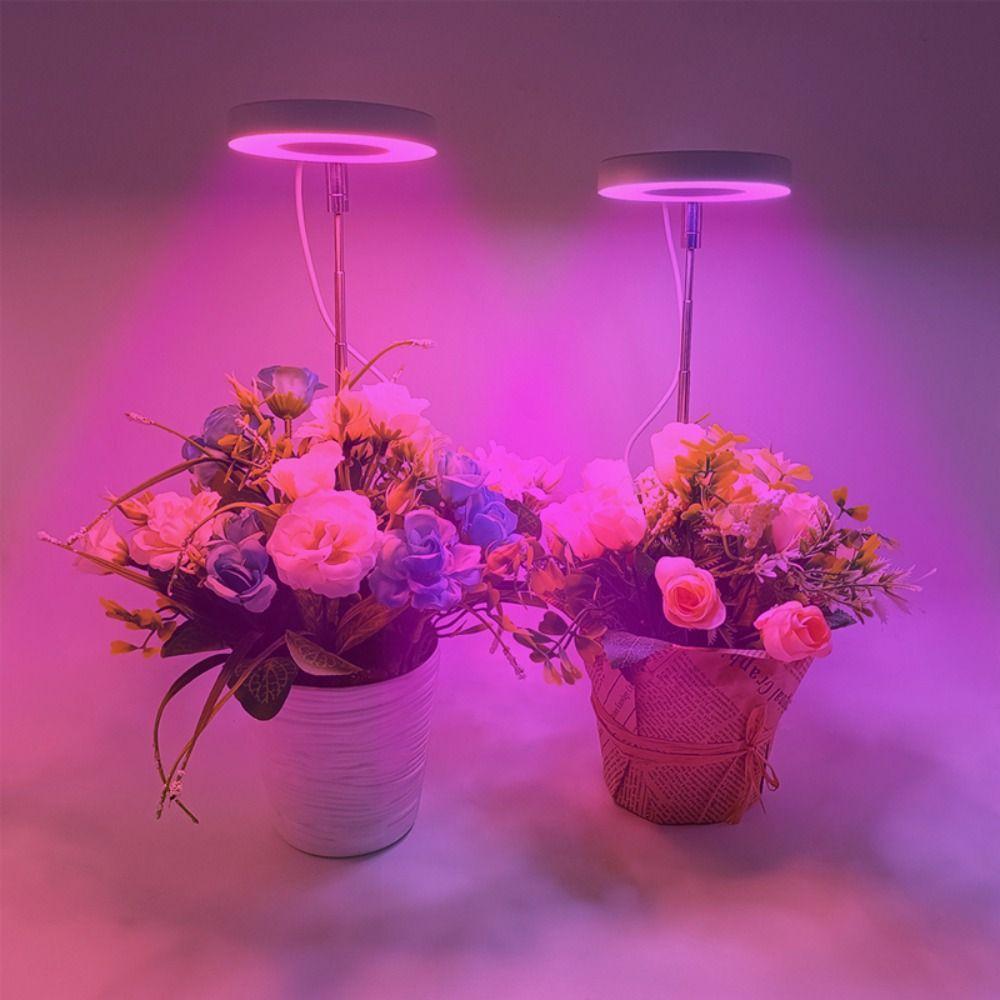 Full Spectrum With Timer For Indoor Plants Herb Ring Light LED Light Growing Lamp Plant Light
Full Spectrum With Timer For Indoor Plants Herb Ring Light LED Light Growing Lamp Plant Light