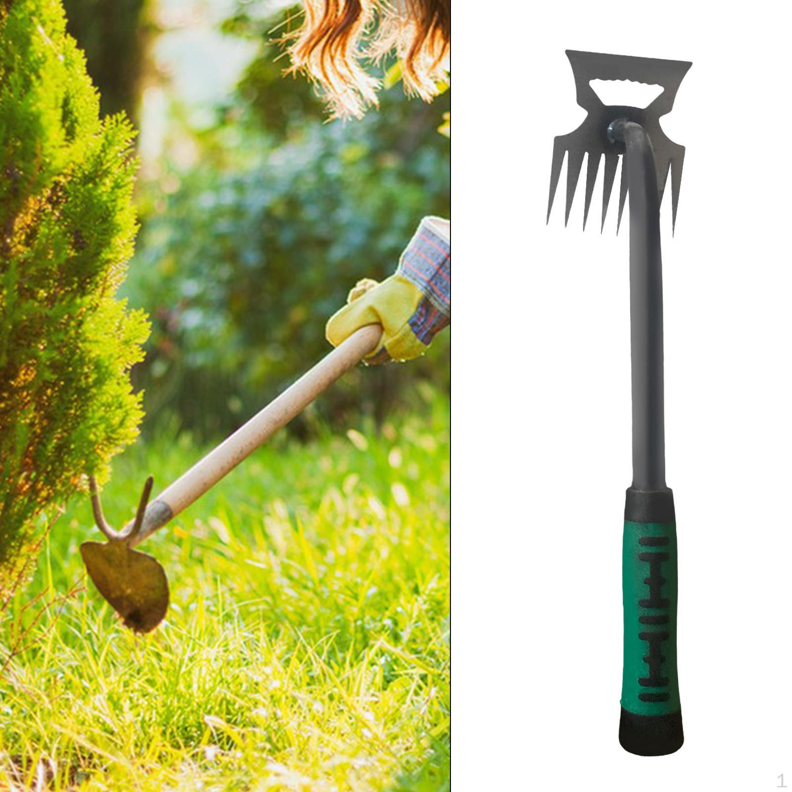 Heavy Duty Garden Rake Weeder Tool for Efficient Weed Removal
Heavy Duty Garden Rake Weeder Tool for Efficient Weed Removal
