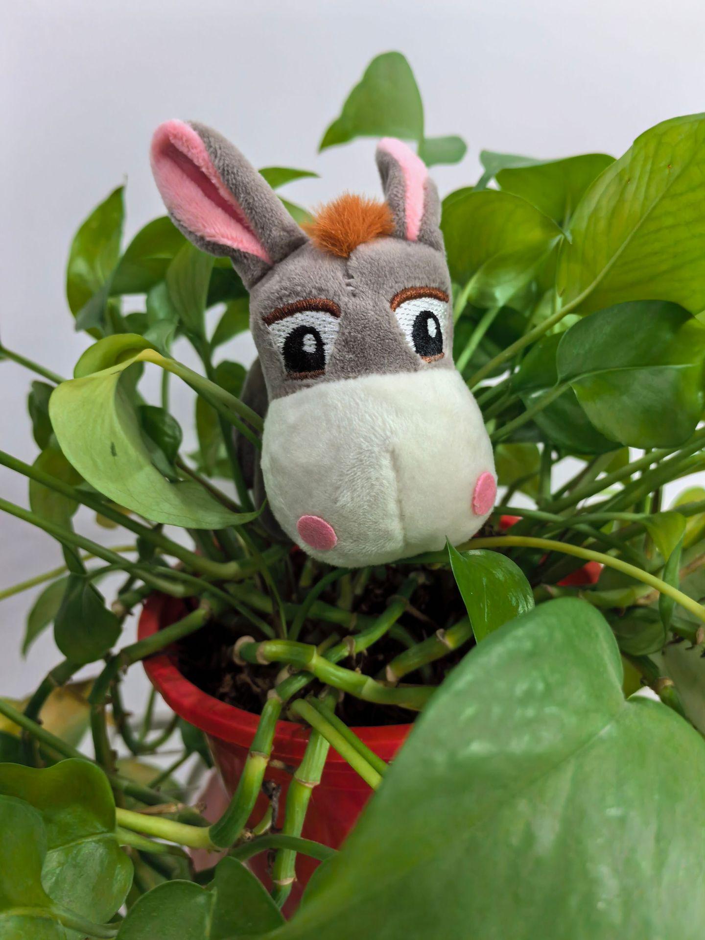 Мультяшный плюшевый брелок в виде осла - Дизайн с большой головой, стоящий, Маленькая подвеска для автомобиля и рюкзака 8 cm серый
Мультяшный плюшевый брелок в виде осла - Дизайн с большой головой, стоящий, Маленькая подвеска для автомобиля и рюкзака 8 cm серый