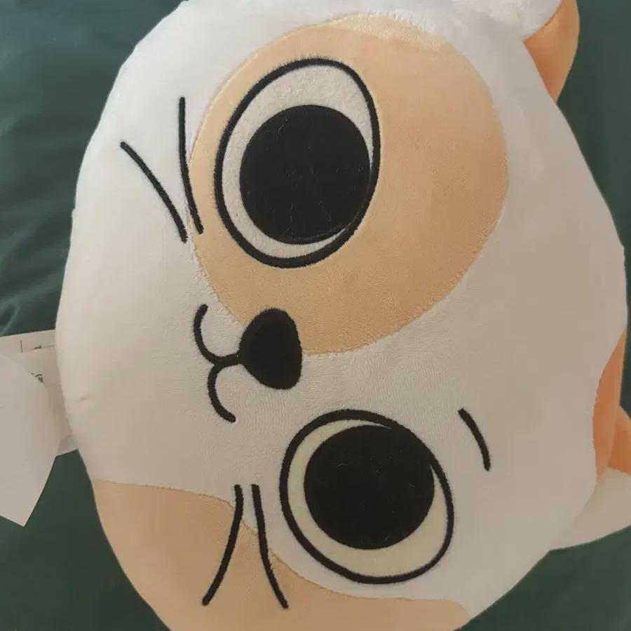 Кошачья моча Boynextdoor И Boynextdoor Pneck Sungho
Кошачья моча Boynextdoor И Boynextdoor Pneck Sungho