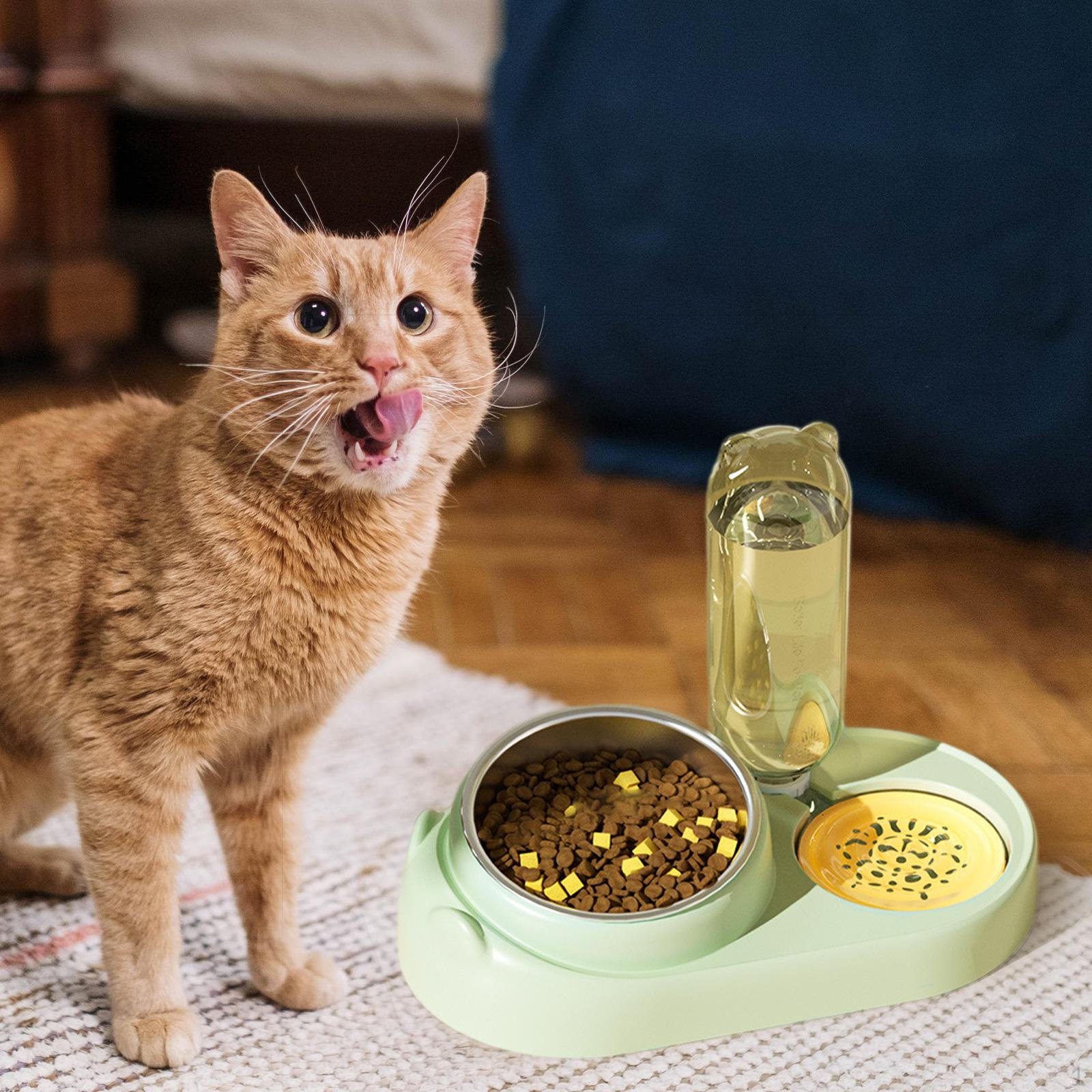 2 в 1 Cat Bowl Pet Drinking Feeder Набір води та їжі для цуценя зелений
2 в 1 Cat Bowl Pet Drinking Feeder Набір води та їжі для цуценя зелений
