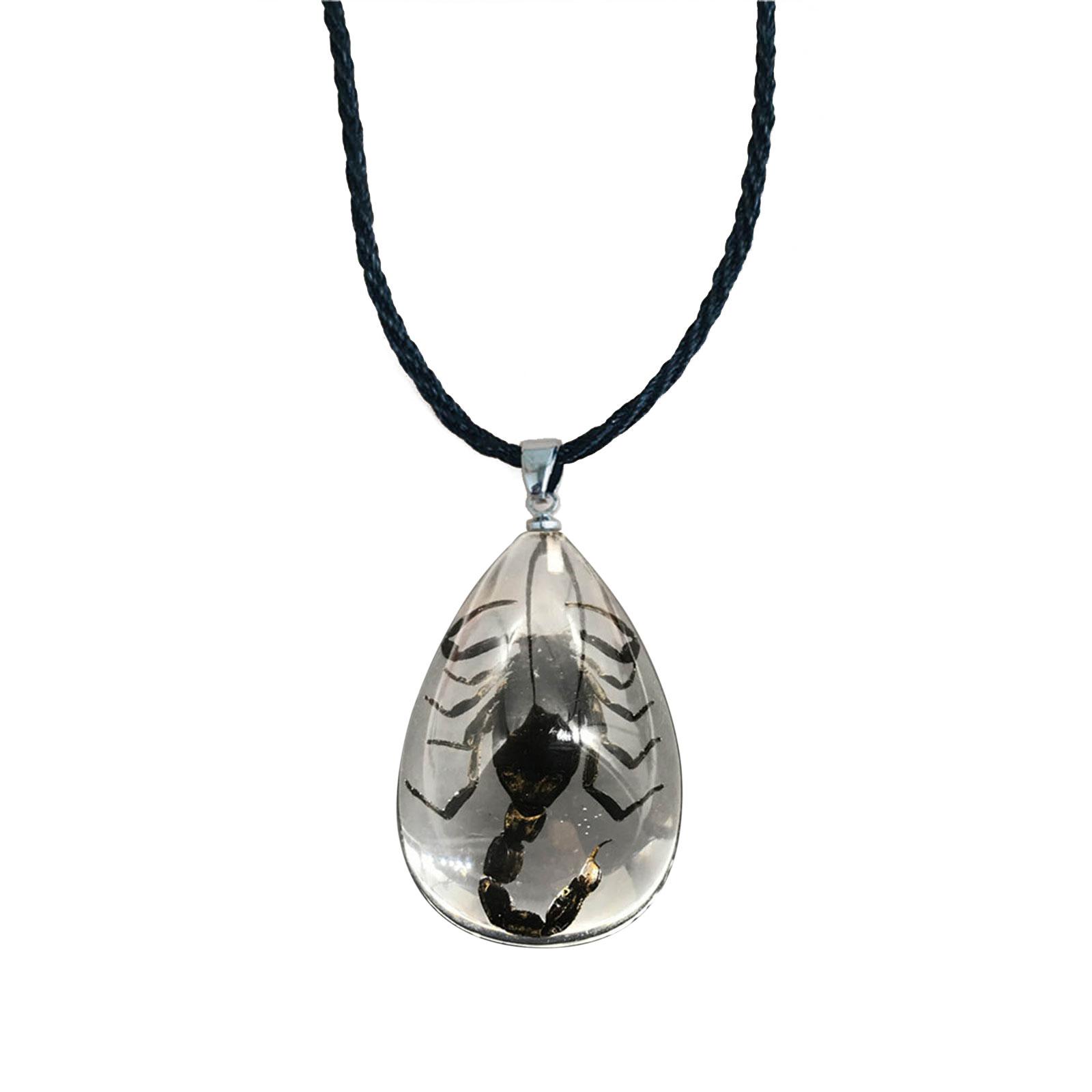 Natural Insect Pendants Necklace Resin Scorpion Crab Chain Necklace Vintage Unisex Long Necklace Boho Jewelry Gift 1
Natural Insect Pendants Necklace Resin Scorpion Crab Chain Necklace Vintage Unisex Long Necklace Boho Jewelry Gift 1