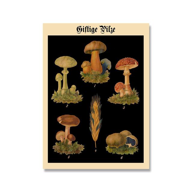 Винтажные абстрактные природные растения, цветочный сад, настенные картины на холсте, Декор для гостиной, научные постеры и принты, настенные панно 30x40cm No Framed
Винтажные абстрактные природные растения, цветочный сад, настенные картины на холсте, Декор для гостиной, научные постеры и принты, настенные панно 30x40cm No Framed