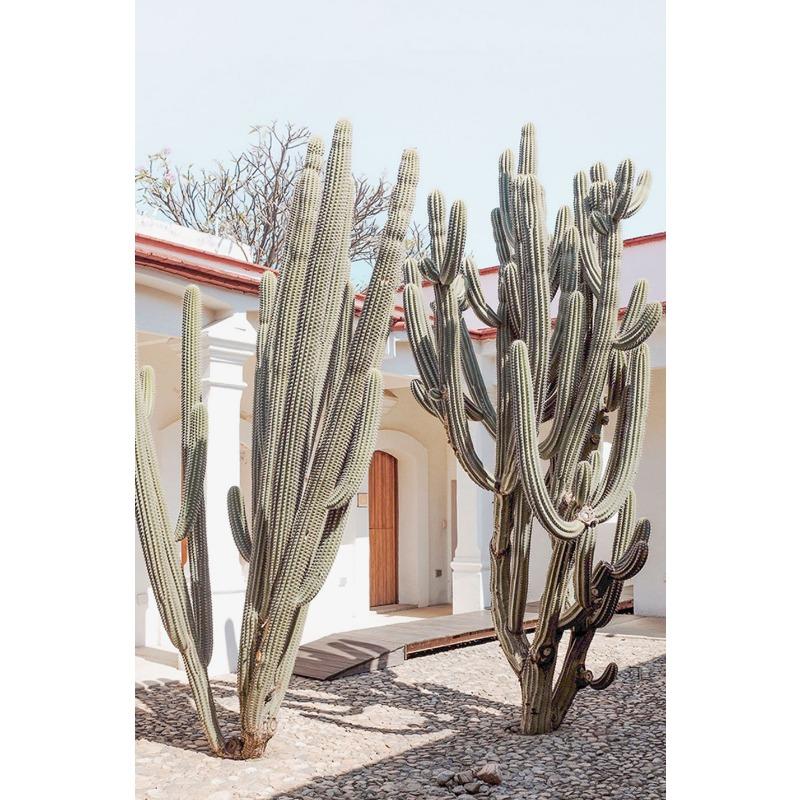 Мексика Путешествия Кактус Природа Пейзаж Культура Фотография Плакат И Печать Холст Картина Настенное Искусство Картины Домашний Декор 21cm×30cm NoFrame
Мексика Путешествия Кактус Природа Пейзаж Культура Фотография Плакат И Печать Холст Картина Настенное Искусство Картины Домашний Декор 21cm×30cm NoFrame