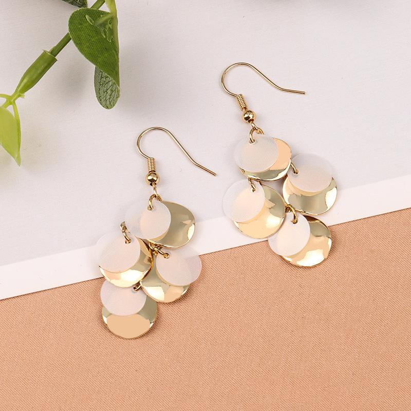 Korean Versatile Gold Round Sequin Geometric Earrings with Transparent Pendant for Women
Korean Versatile Gold Round Sequin Geometric Earrings with Transparent Pendant for Women