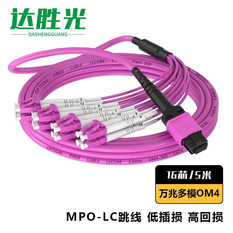 Dasheng Optic MPO-LC 16-Core OM4 Multimode Fiber Patch Cable
Dasheng Optic MPO-LC 16-Core OM4 Multimode Fiber Patch Cable