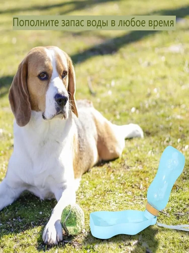 Дорожная чашка для питомца, поилка, собака, кошка, для улицы, портативный чайник, чашка для питья One Size
Дорожная чашка для питомца, поилка, собака, кошка, для улицы, портативный чайник, чашка для питья One Size