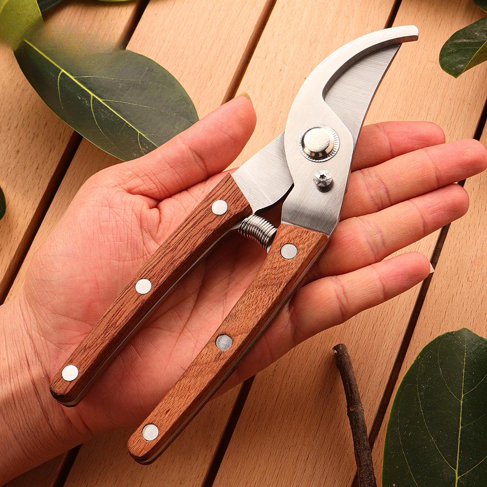 Solid Wood Non-Slip Pruning Shears Carbon Steel Sharp Curved Pruners for Heavy-Duty Garden Grafting & Thick Branch Cutting
Solid Wood Non-Slip Pruning Shears Carbon Steel Sharp Curved Pruners for Heavy-Duty Garden Grafting & Thick Branch Cutting
