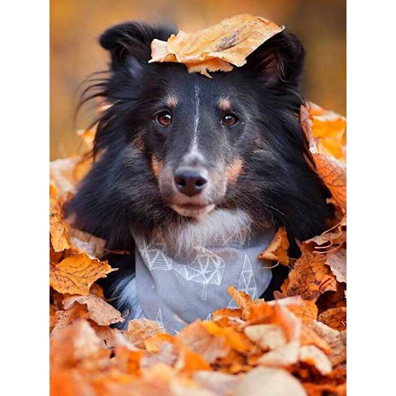 DIY 5D алмазная живопись «Собака в кленовом лесу» Алмазная мозаика наборы для вышивки крестом украшение дома полная круглая алмазная вышивка Round 20x30cm
DIY 5D алмазная живопись «Собака в кленовом лесу» Алмазная мозаика наборы для вышивки крестом украшение дома полная круглая алмазная вышивка Round 20x30cm