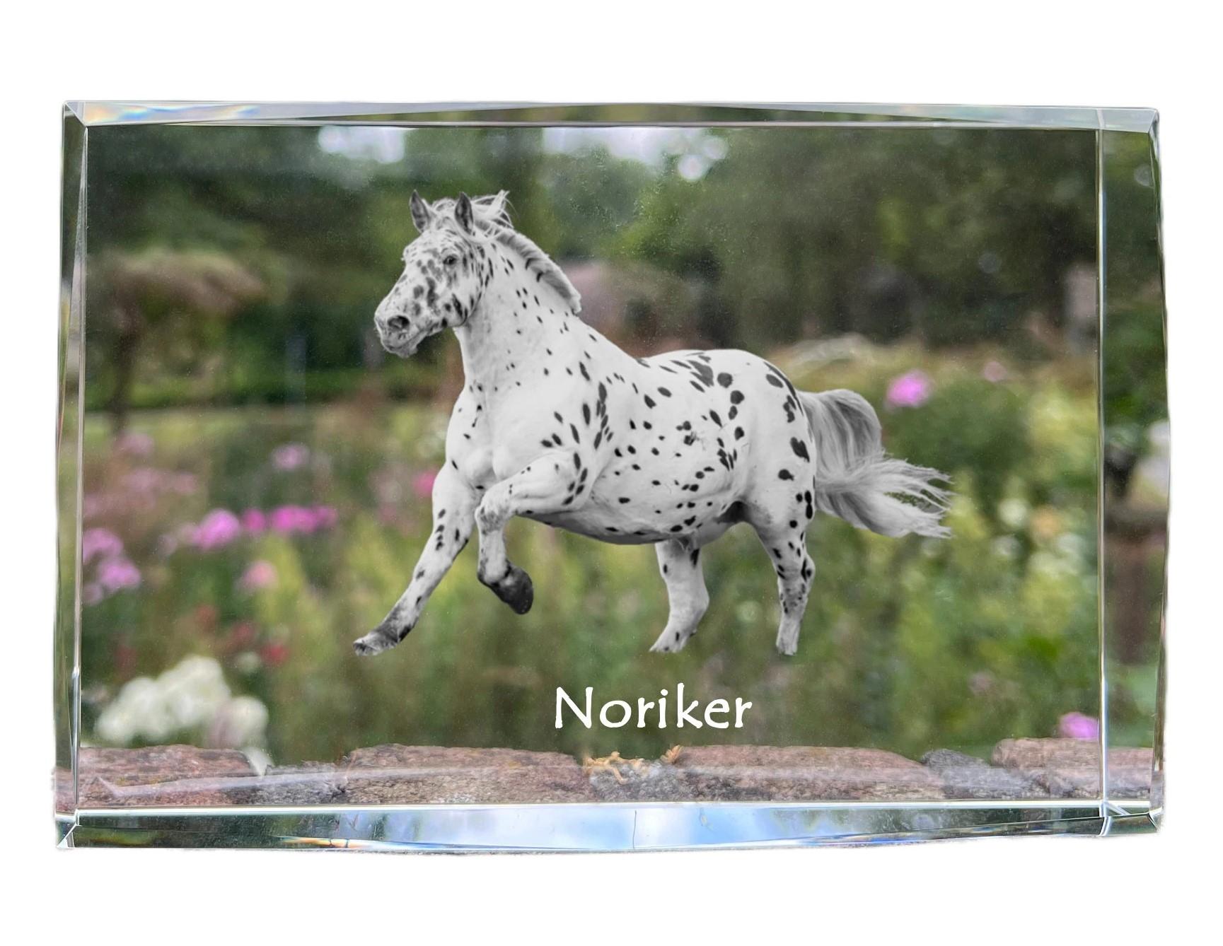 Noriker - crystal with a picture of a horse, photo in glass, modern exhibition of Art-Dog brand photo
Noriker - crystal with a picture of a horse, photo in glass, modern exhibition of Art-Dog brand photo