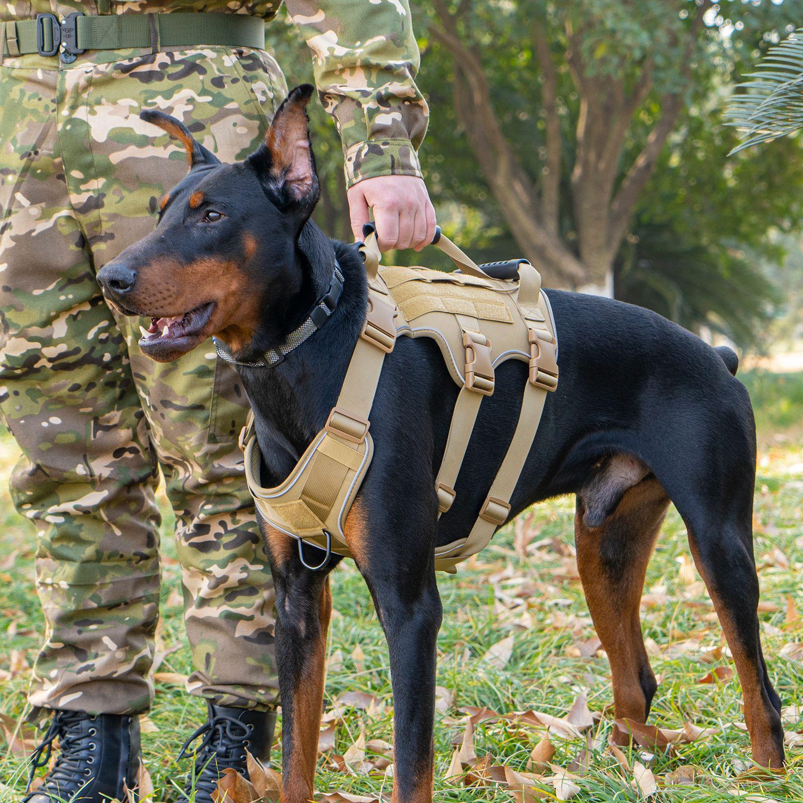 Dog Tactical Chest Strap Breathable Reflective Style Large Lightweight Traction Rope Anti-burst Dog Walking Weapon M [
Dog Tactical Chest Strap Breathable Reflective Style Large Lightweight Traction Rope Anti-burst Dog Walking Weapon M [