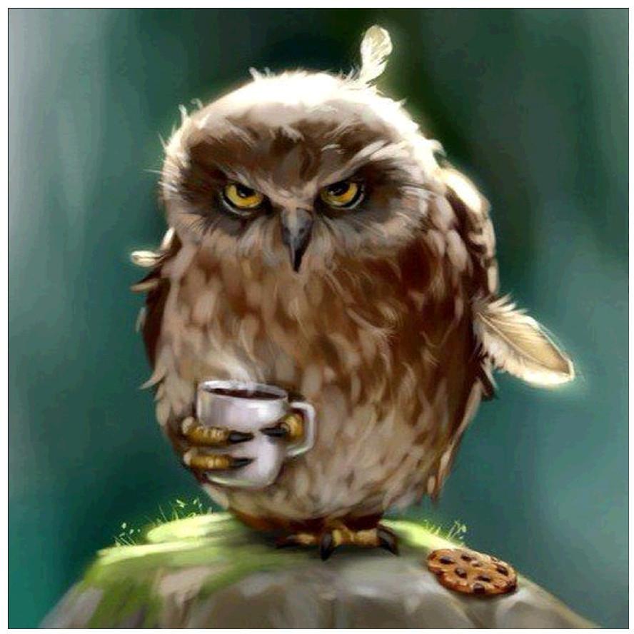 DIY 5D Полный Круглый Дрель Алмазная Картина Вышивка Крестом Комплект Главная Стена Декор Ремесло
DIY 5D Полный Круглый Дрель Алмазная Картина Вышивка Крестом Комплект Главная Стена Декор Ремесло