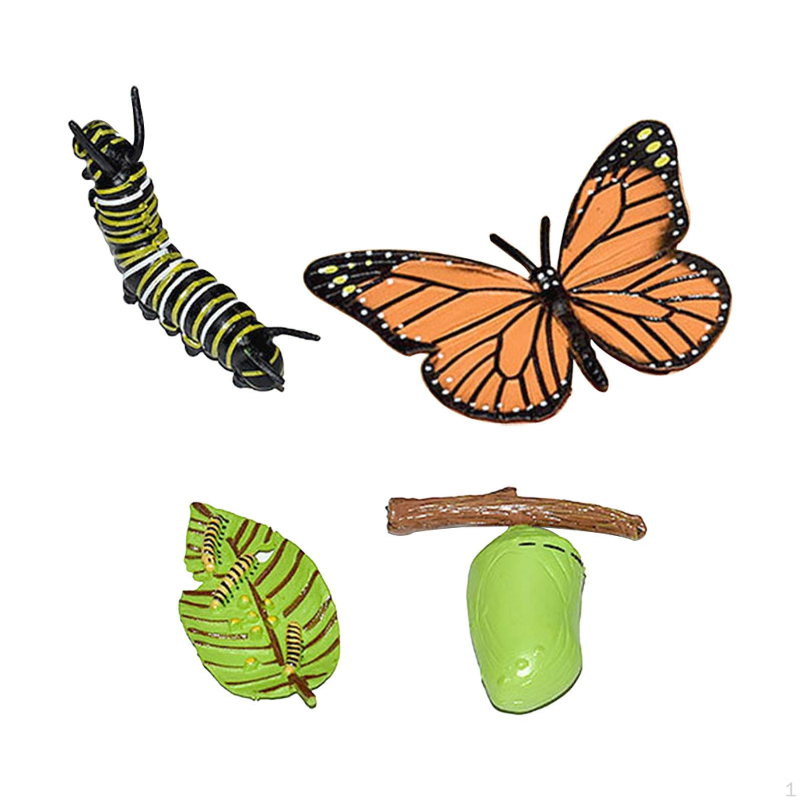 Animal Growth Cycle Figures Biology Educational Model for Ages 3-6 Christmas Gift Realistic Teaching butterfly 10x5.5cm
Animal Growth Cycle Figures Biology Educational Model for Ages 3-6 Christmas Gift Realistic Teaching butterfly 10x5.5cm