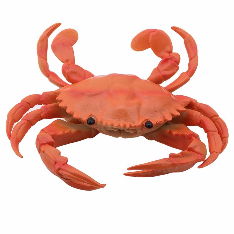 Игрушка-симулятор лобстера и краба для детей Orange crab
Игрушка-симулятор лобстера и краба для детей Orange crab