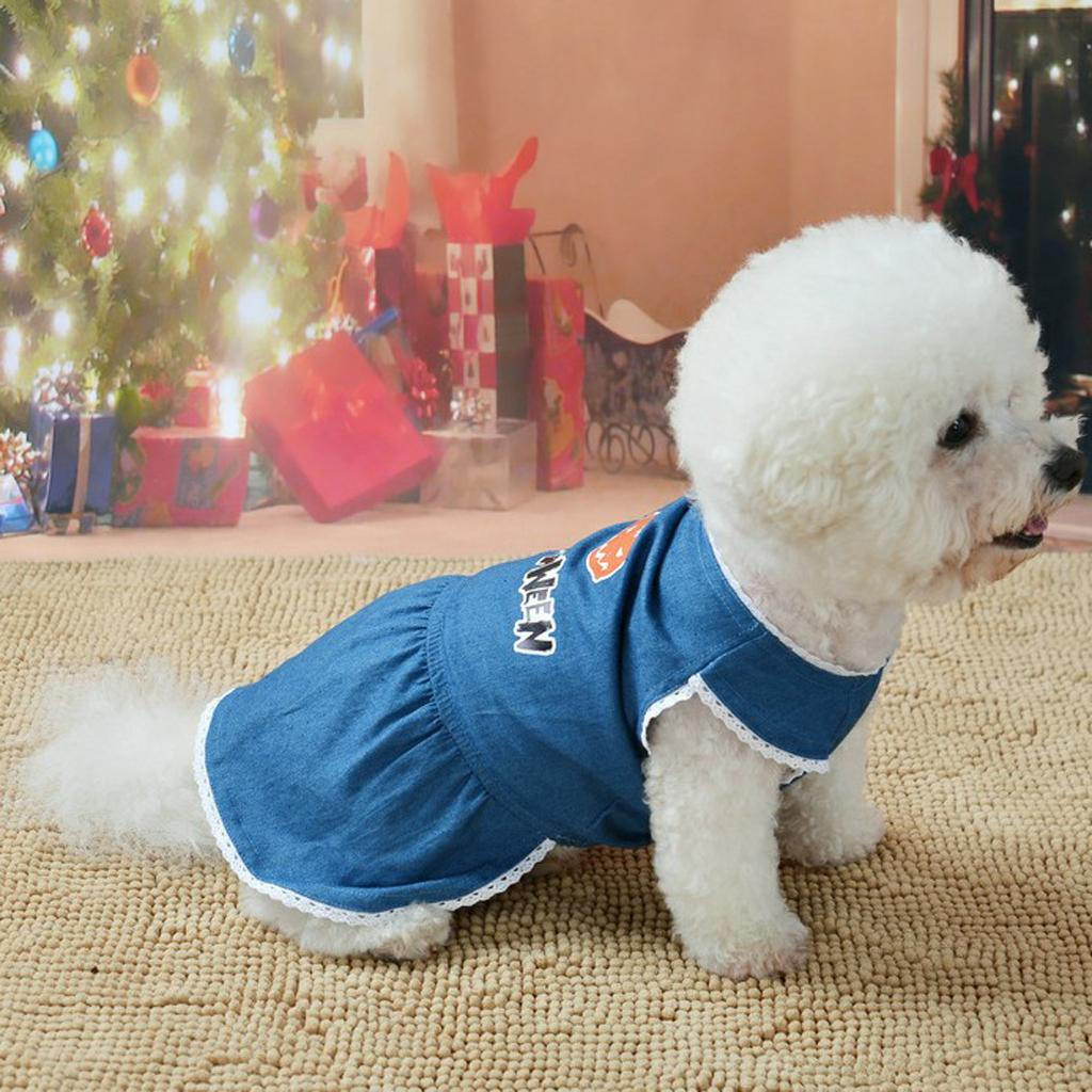 Pet Dog Jean Dresses Puppy Costume Clothes With Lace Skirt Hemline S
Pet Dog Jean Dresses Puppy Costume Clothes With Lace Skirt Hemline S