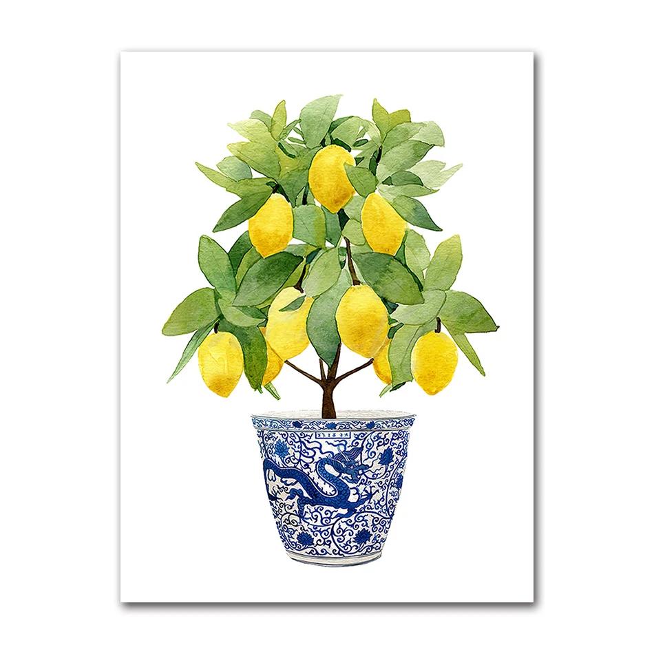 Bonsai Canvas Painting Art Blue White Willow Style Lemon Poster Kitchen Decor Lemon Print Planter office decoration 21X30CMNo Framed
Bonsai Canvas Painting Art Blue White Willow Style Lemon Poster Kitchen Decor Lemon Print Planter office decoration 21X30CMNo Framed