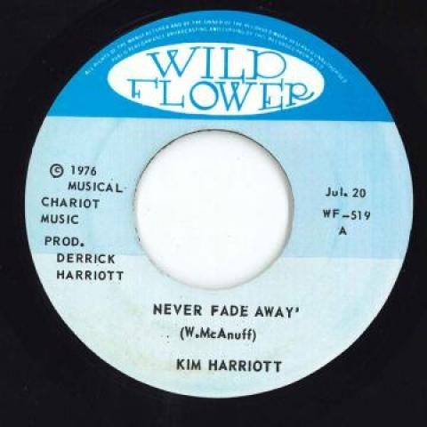 7inch Record KIM HARRIOTT - Never Fade Away / Dub Away WF519 Wild Flower 1976 Jamaica Reggae, Ska & Dub
7inch Record KIM HARRIOTT - Never Fade Away / Dub Away WF519 Wild Flower 1976 Jamaica Reggae, Ska & Dub