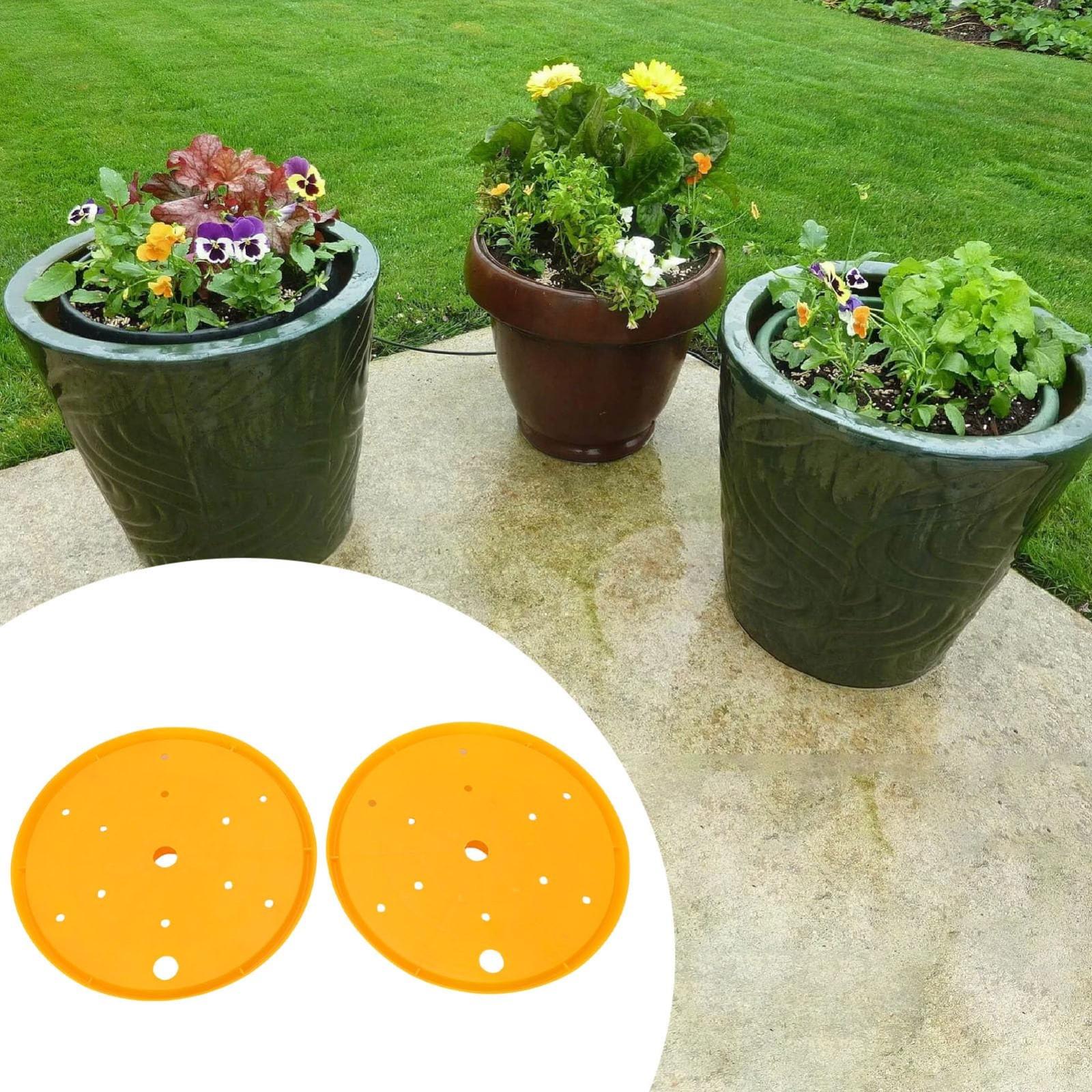 2PCS Personalized Creative Plastic Flower Pot Drainage Hole Plug-in Flower Pot Drainage One Size помаранчевий
2PCS Personalized Creative Plastic Flower Pot Drainage Hole Plug-in Flower Pot Drainage One Size помаранчевий