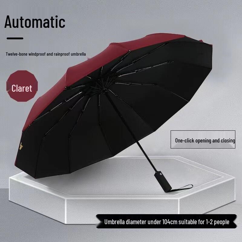 Automatic Folding Sun Protection Umbrella
Automatic Folding Sun Protection Umbrella