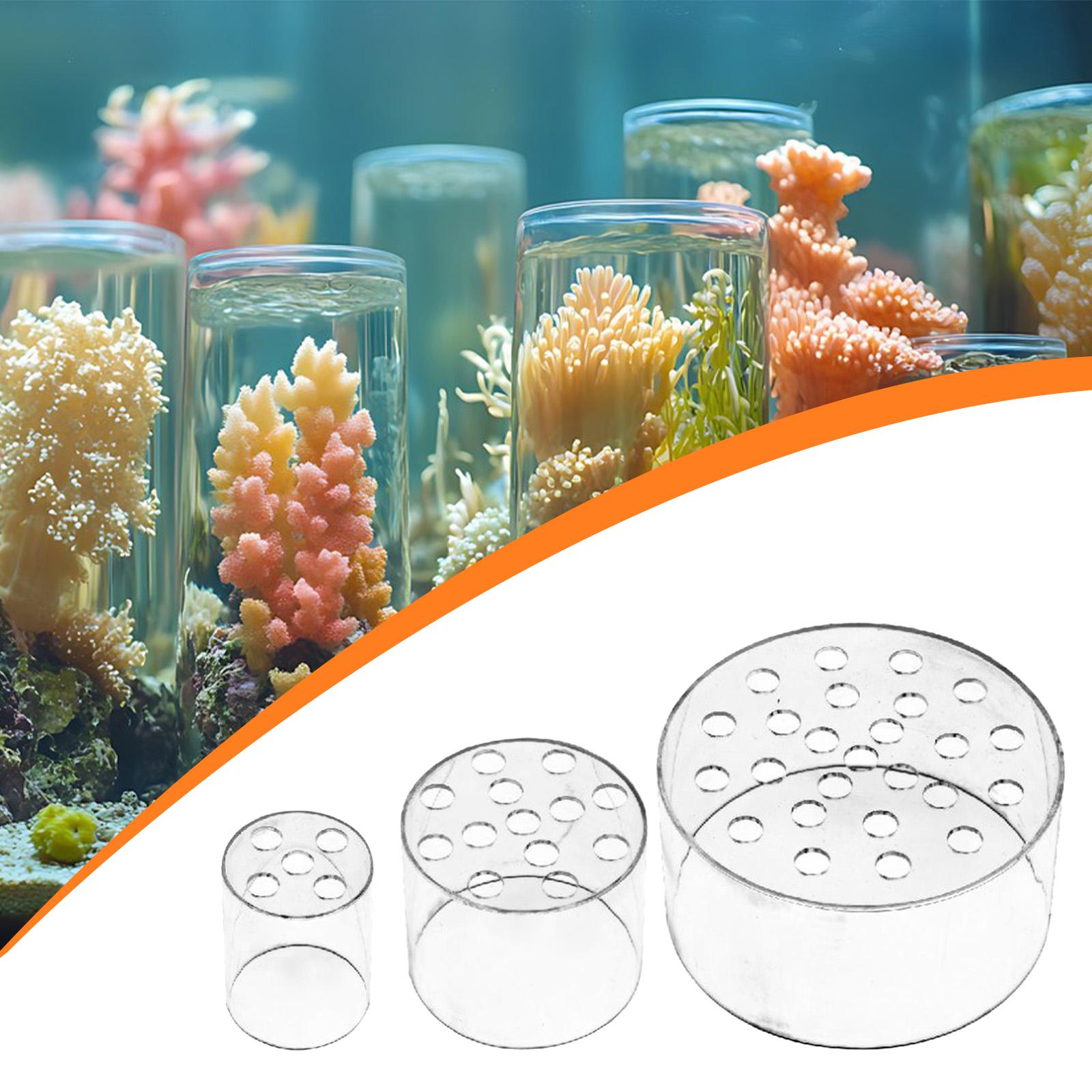 Acrylic Protective Coral Feeder Dome Reef Feeding Shield for Aquarium Smart Fish Feeder Support S
Acrylic Protective Coral Feeder Dome Reef Feeding Shield for Aquarium Smart Fish Feeder Support S