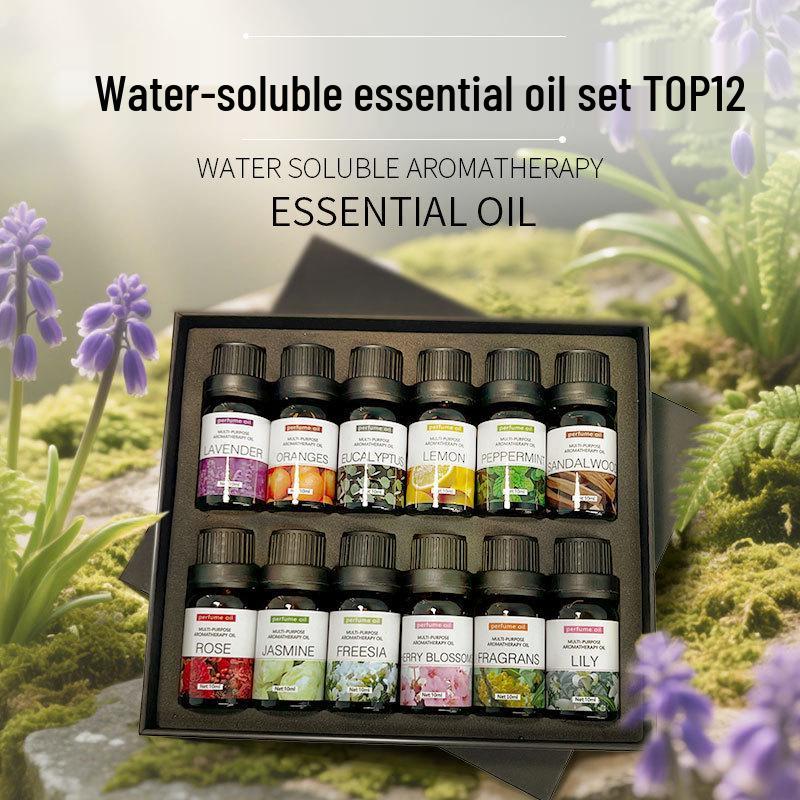 Exclusive Aromatherapy Essential Oil & Humidifier 12-Piece Set for Home & Car Neutral Trademark
Exclusive Aromatherapy Essential Oil & Humidifier 12-Piece Set for Home & Car Neutral Trademark