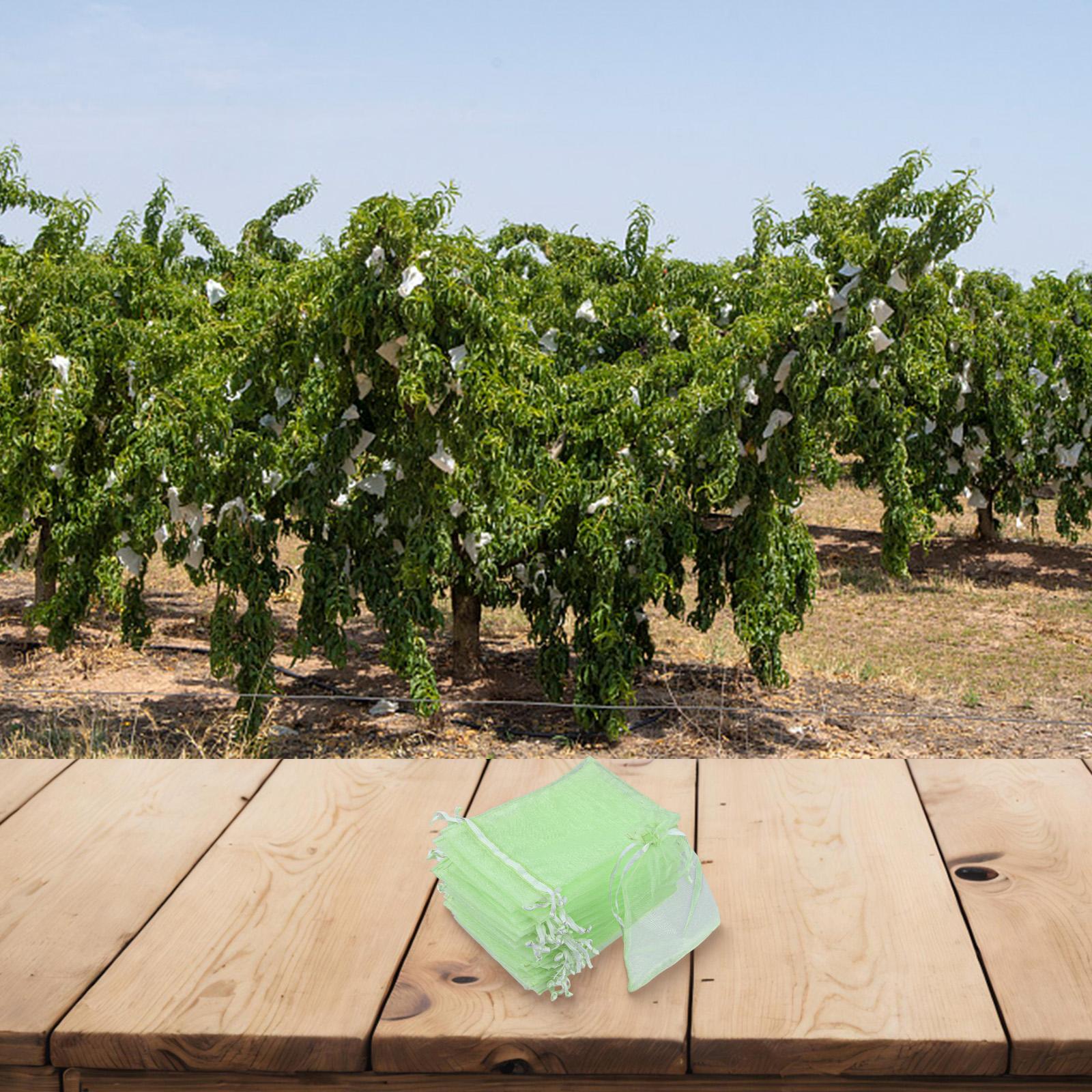 Fine Mesh Bags Drawstring Mesh Bag Transparency For Ripeness Dense Fine Mesh Material Double Drawstring Design Garden Use China Mainland
Fine Mesh Bags Drawstring Mesh Bag Transparency For Ripeness Dense Fine Mesh Material Double Drawstring Design Garden Use China Mainland