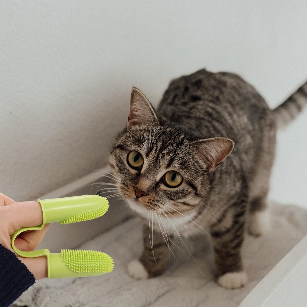 Reusable TPR Cat Cleaning Tool Pet Double Finger Toothbrush Cat Toothbrush Dog Toothbrush зелёный
Reusable TPR Cat Cleaning Tool Pet Double Finger Toothbrush Cat Toothbrush Dog Toothbrush зелёный