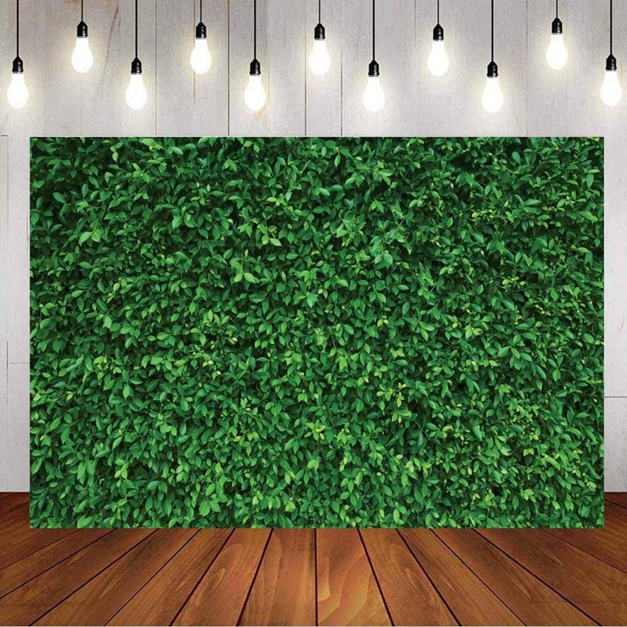 Фотография Фон Творческий фон Висячая ткань 3D Моделирование Зеленая трава Гобелен
Фотография Фон Творческий фон Висячая ткань 3D Моделирование Зеленая трава Гобелен