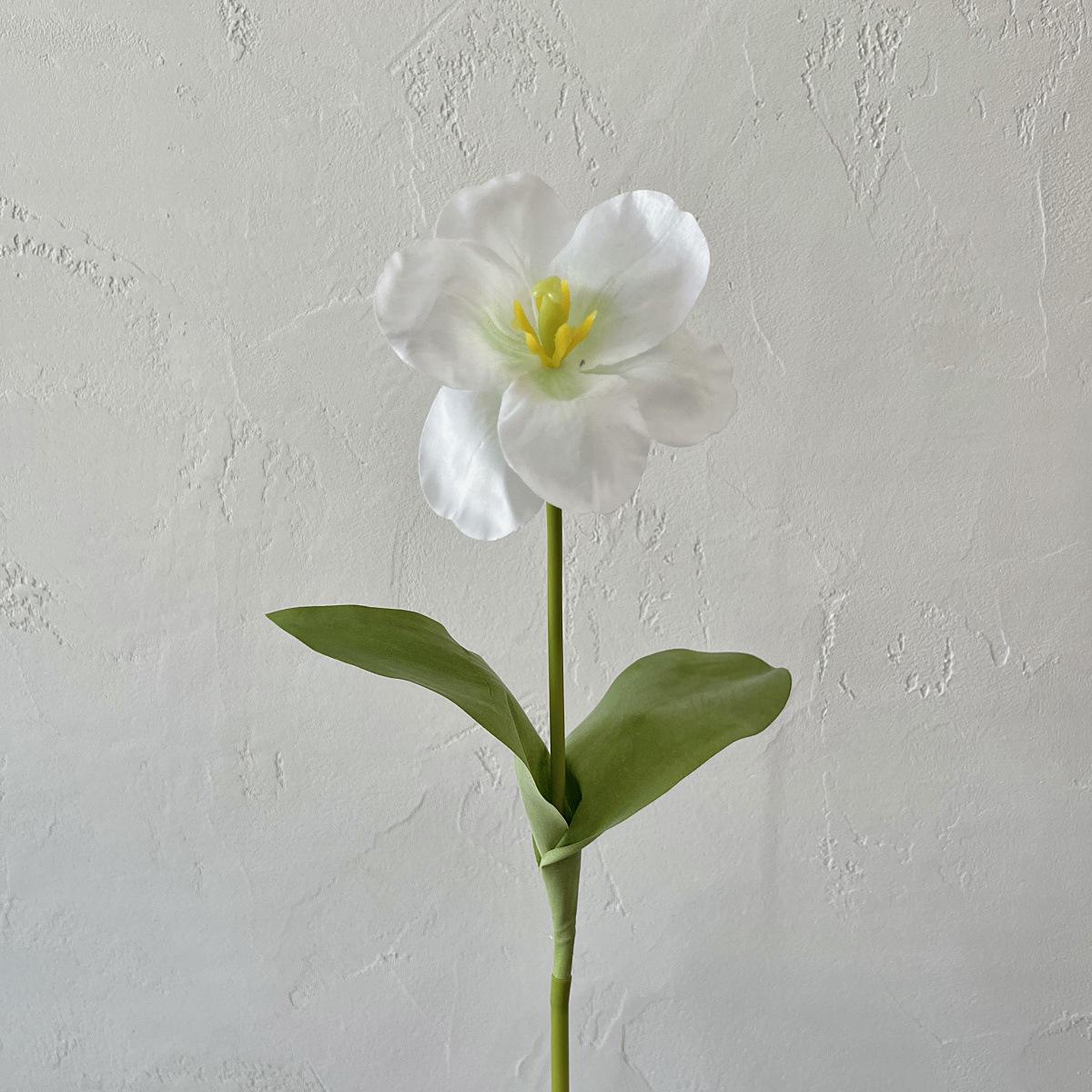 Brownie Tulip Silk Artificial Flower Arrangement for Home and Wedding Decor
Brownie Tulip Silk Artificial Flower Arrangement for Home and Wedding Decor