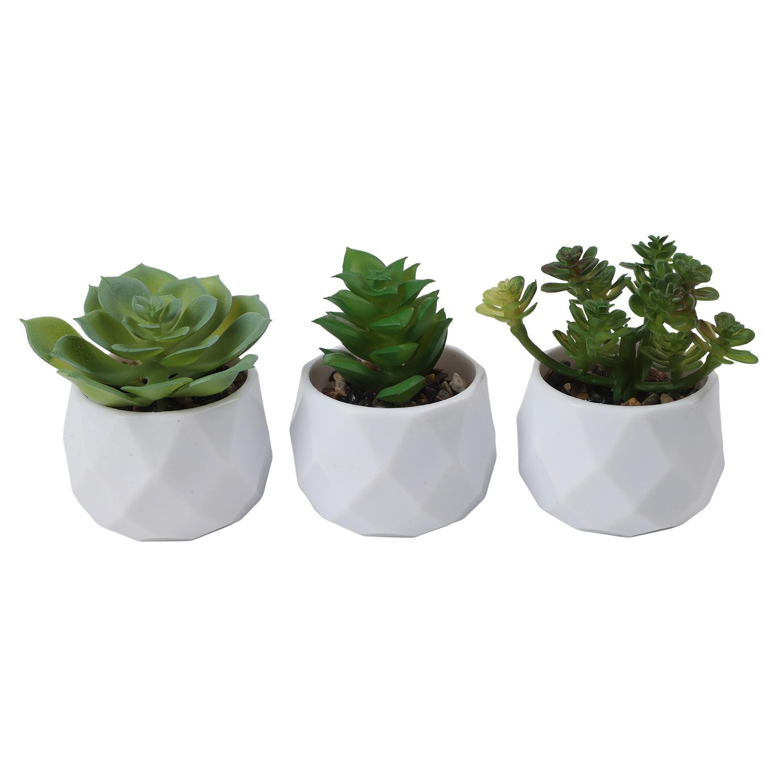 Artificial Succulents Decorative Flower Pot Easy Maintenance set2
Artificial Succulents Decorative Flower Pot Easy Maintenance set2