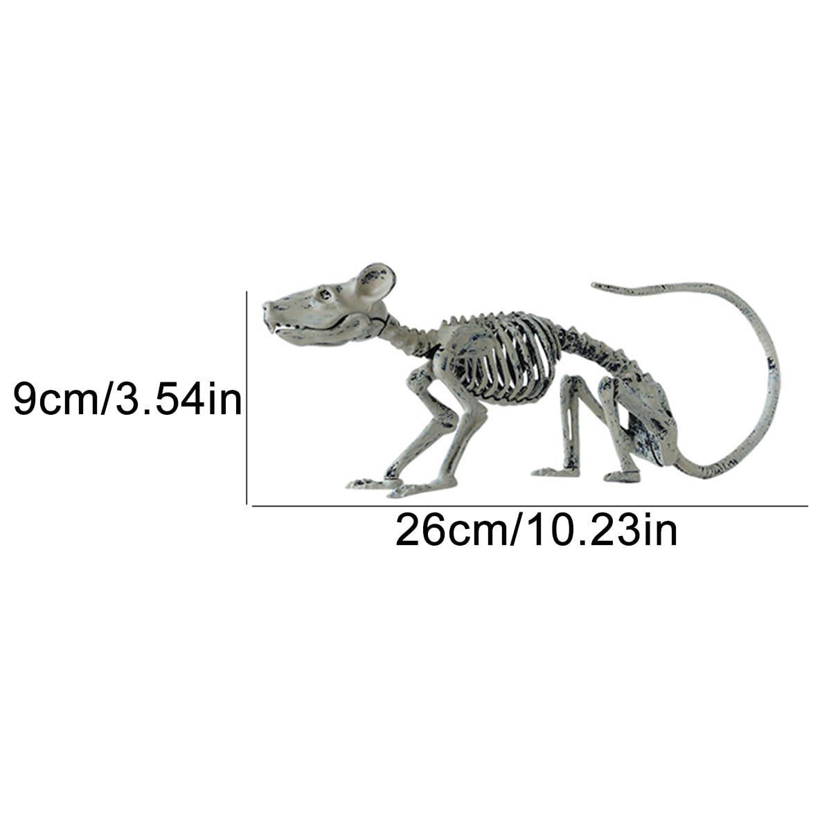 Animal Skeleton Bone Figurine Terrible Spider Bird Skull Statues Sculptures Hallowee Ornament Home Decoration Desk Accessories
Animal Skeleton Bone Figurine Terrible Spider Bird Skull Statues Sculptures Hallowee Ornament Home Decoration Desk Accessories